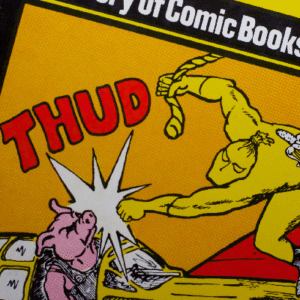 Echoes of the Samurai